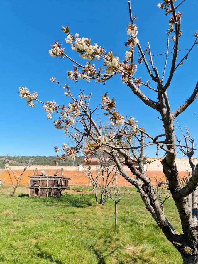 Murias de Rechivaldo Casa Rural Las Aguedas المظهر الخارجي الصورة